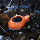 Illustration for article titled PhO-TAYGraphy Club: Water, Water, Everywhere